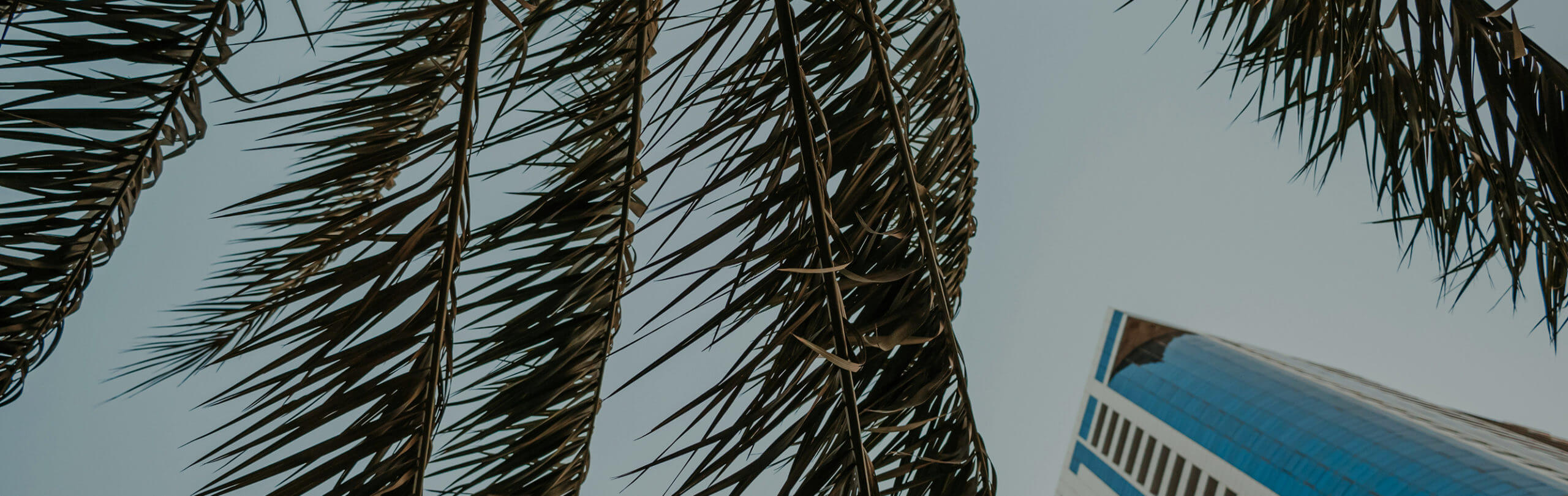 Book a premium car online in JLT, Dubai