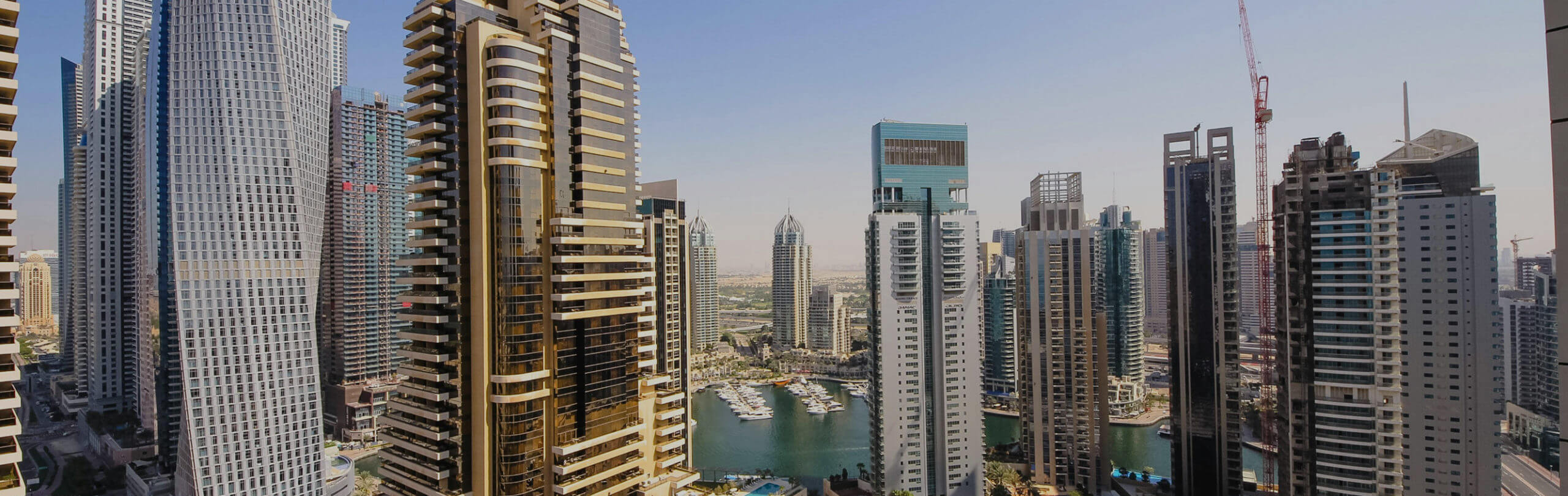 Select premium cars in Sheikh Zayed Road with Sky Luxse